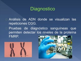 Análisis de ADN donde se visualizan las
repeticiones CGG.
Pruebas de diagnóstico sanguíneas que
permiten detectar los niveles de la proteína
FMRP.
 