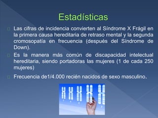 Las cifras de incidencia convierten al Síndrome X Frágil en
la primera causa hereditaria de retraso mental y la segunda
cromosopatía en frecuencia (después del Síndrome de
Down).
Es la manera más común de discapacidad intelectual
hereditaria, siendo portadoras las mujeres (1 de cada 250
mujeres)
Frecuencia de1/4.000 recién nacidos de sexo masculino.
 