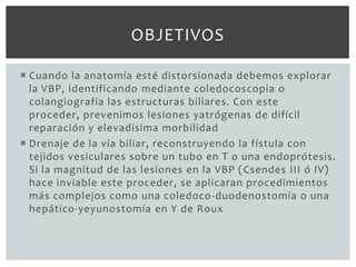 OBJETIVOS

 Cuando la anatomía esté distorsionada debemos explorar
  la VBP, identificando mediante coledocoscopia o
  colangiografía las estructuras biliares. Con este
  proceder, prevenimos lesiones yatrógenas de difícil
  reparación y elevadísima morbilidad
 Drenaje de la vía biliar, reconstruyendo la fístula con
  tejidos vesiculares sobre un tubo en T o una endoprótesis.
  Si la magnitud de las lesiones en la VBP ( Csendes III ó IV)
  hace inviable este proceder, se aplicaran procedimientos
  más complejos como una coledoco-duodenostomía o una
  hepático-yeyunostomía en Y de Roux
 