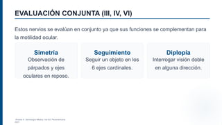 Vision Conjunta Comprehensive Overview of Cranial Nerve Syndromes: Anatomy, Examination ...