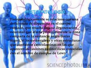    Fisiopatológicamente se relaciona con una
    deficiencia de dopamina en el cuerpo
    estriado, que resulta de una degeneración
    neuronal que afecta principalmente la zona
    compacta de la sustancia negra (locus
    niger), el locus coeruleus y otras estructuras
    que contienen catecolaminas en las que
    aparecen inclusiones eosinofílicas conocidas
    con el nombre de cuerpos de Lewy”.
 