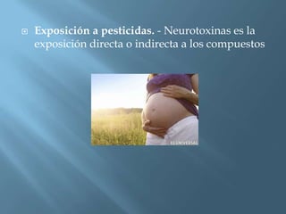    Exposición a pesticidas. - Neurotoxinas es la
    exposición directa o indirecta a los compuestos
 