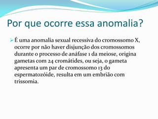 Por que ocorre essa anomalia?
É uma anomalia sexual recessiva do cromossomo X,
ocorre por não haver disjunção dos cromossomos
durante o processo de anáfase 1 da meiose, origina
gametas com 24 cromátides, ou seja, o gameta
apresenta um par de cromossomo 13 do
espermatozóide, resulta em um embrião com
trissomia.
 