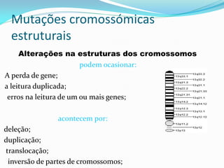 Mutações cromossómicas
estruturais
Alterações na estruturas dos cromossomos
podem ocasionar:
A perda de gene;
a leitura duplicada;
erros na leitura de um ou mais genes;
acontecem por:
deleção;
duplicação;
translocação;
inversão de partes de cromossomos;
 