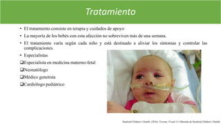 Tratamiento
• El tratamiento consiste en terapia y cuidados de apoyo
• La mayoría de los bebés con esta afección no sobreviven más de una semana.
• El tratamiento varía según cada niño y está destinado a aliviar los síntomas y controlar las
complicaciones.
• Especialistas
Especialista en medicina materno-fetal
Neonatólogo
Médico genetista
Cardiólogo pediátrico
Stanford Children’s Health. (2016). Trisomy 18 and 13. Obtenido de Stanford Children’s Health
 