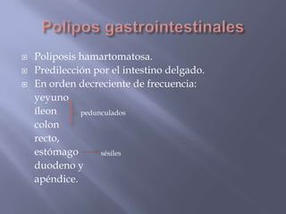 Polipos gastrointestinalesPoliposishamartomatosa.Predilección por el intestino delgado. En orden decreciente de frecuencia:     yeyuno    íleon    colon    recto,     estómago     duodeno y     apéndice. pedunculadossésiles
