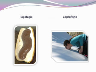 PagofagiaCoprofagia
