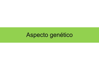Aspecto genético 
 