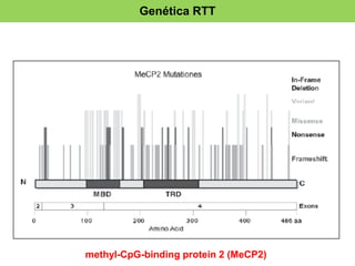 Genética RTT 
methyl-CpG-binding protein 2 (MeCP2) 
 
