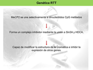 Genética RTT 
MeCP2 se une selectivamente a dinucleótidos CpG metilados 
Forma un complejo inhibidor mediante la unión a Sin3A y HDCA, 
Capaz de modificar la estructura de la cromatina e inhibir la 
expresión de otros genes. 
 