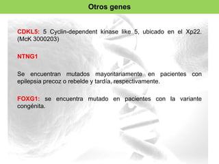 Otros genes 
CDKL5: 5 Cyclin-dependent kinase like 5, ubicado en el Xp22. 
(McK 3000203) 
NTNG1 
Se encuentran mutados mayoritariamente en pacientes con 
epilepsia precoz o rebelde y tardía, respectivamente. 
FOXG1: se encuentra mutado en pacientes con la variante 
congénita. 
 