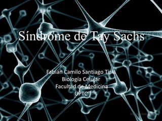 Síndrome de Tay Sachs
Fabián Camilo Santiago Tiria
Biología Celular
Facultad de Medicina
UPTC
 