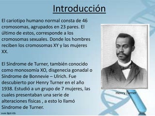 Introducción
El cariotipo humano normal consta de 46
cromosomas, agrupados en 23 pares. El
último de estos, corresponde a los
cromosomas sexuales. Donde los hombres
reciben los cromosomas XY y las mujeres
XX.

El Síndrome de Turner, también conocido
como monosomía XO, disgenecia gonadal o
Síndrome de Bonnevie – Ulrich. Fue
descubierto por Henry Turner en el año
1938. Estudió a un grupo de 7 mujeres, las
                                             Henry Turner
cuales presentaban una serie de
alteraciones físicas , a esto lo llamó
Síndrome de Turner.
 
