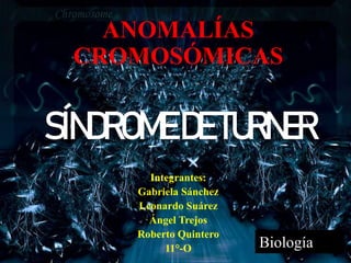 Integrantes:
Gabriela Sánchez
Leonardo Suárez
Ángel Trejos
Roberto Quintero
11°-O
ANOMALÍAS
CROMOSÓMICAS
SÍNDROMEDETURNER
Biología
 