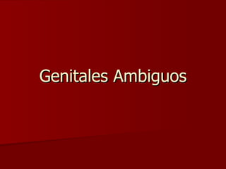 Genitales Ambiguos 