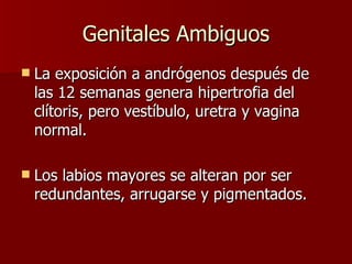 Genitales Ambiguos La exposición a andrógenos después de las 12 semanas genera hipertrofia del clítoris, pero vestíbulo, uretra y vagina normal.  Los labios mayores se alteran por ser redundantes, arrugarse y pigmentados. 