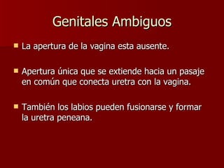 Genitales Ambiguos La apertura de la vagina esta ausente. Apertura única que se extiende hacia un pasaje en común que conecta uretra con la vagina. También los labios pueden fusionarse y formar la uretra peneana.  