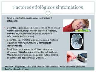 Factores etiológicos sintomáticos
 Entre las múltiples causas pueden agruparse 3
categorías:
 Desórdenes prenatales (p.ej. hidrocefalia, microcefalia,
hidranencefalia, Sturge-Weber, esclerosis tuberosa,
trisomía 21, encefalopatía hipóxico isquémica,
infección del SNC y trauma)
 Desórdenes perinatales (p.ej. encefalopatía hipóxico-
isquémica, meningitis, trauma y hemorragias
intracraneales)
 Desórdenes postnatales (p. ej. dependencia de
piridoxina, hiperglicemia, enfermedad del jarabe de
Maple, fenilcetonuria, encefalopatías mitocontriales,
enfermedades degenerativas y trauma).
Dulac O, Chugani HT, Dalla Bernardina B, eds. Infantile spasms and West syndrome.
London: Saunders. 1994.
 
