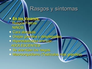 Rasgos y síntomas En los Varones: Rasgos Físicos: NIÑOS: Cara alargada. Orejas grandes y desplegadas. Hiperelasticidad articular. ADOLESCENTES: Se acentúan los rasgos. Macroorquidismo (Testículos más grandes). 