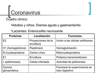 Coronavirus Cuadro clínico: Adultos y niños: Diarrea aguda y gastroenteritis Lactantes: Enterocolitis necrosante Actividad de polimerasa Celula infectada L (polimerasa) Favorece la supervivencia en tubo digestivo Corona glicoproteica Proteína transmembrana Envoltura E1 Ribonucleoproteina Centro virico N (nucleoproteina Hemaglutinación Peplómero H1 (hemaglutinina) Unión a las células anfitrionas Proyecciones de la envoltura E2 Funciones Localización Proteínas 