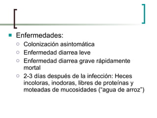 Enfermedades:  Colonización asintomática Enfermedad diarrea leve Enfermedad diarrea grave rápidamente mortal 2-3 días después de la infección: Heces incoloras, inodoras, libres de proteínas y moteadas de mucosidades (“agua de arroz”) 