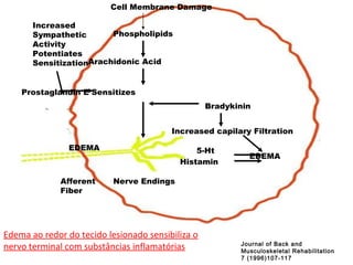 Journal of Back and Musculoskeletal Rehabilitation 7 (1996)107-117 Cell Membrane Damage Phospholipids Arachidonic Acid Prostaglandin E Sensitizes Nerve Endings Bradykinin Increased capilary Filtration 5-Ht Histamin EDEMA Increased Sympathetic Activity Potentiates Sensitization Afferent Fiber EDEMA Edema ao redor do tecido lesionado sensibiliza o nervo terminal com substâncias inflamatórias 