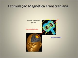 Estimulação Magnética Transcraniana Campo magnético gerado Bobina de EMT Corrente induzida 