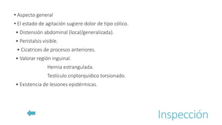 Inspección
• Aspecto general
• El estado de agitación sugiere dolor de tipo cólico.
• Distensión abdominal (local/generalizada).
• Peristalsis visible.
• Cicatrices de procesos anteriores.
• Valorar región inguinal.
Hernia estrangulada.
Testículo criptorquídico torsionado.
• Existencia de lesiones epidérmicas.
 