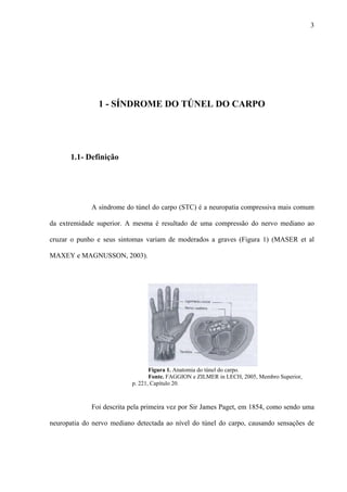 3
1 - SÍNDROME DO TÚNEL DO CARPO
1.1- Definição
A síndrome do túnel do carpo (STC) é a neuropatia compressiva mais comum
da extremidade superior. A mesma é resultado de uma compressão do nervo mediano ao
cruzar o punho e seus sintomas variam de moderados a graves (Figura 1) (MASER et al
MAXEY e MAGNUSSON, 2003).
Figura 1. Anatomia do túnel do carpo.
Fonte. FAGGION e ZILMER in LECH, 2005, Membro Superior,
p. 221, Capítulo 20.
Foi descrita pela primeira vez por Sir James Paget, em 1854, como sendo uma
neuropatia do nervo mediano detectada ao nível do túnel do carpo, causando sensações de
 