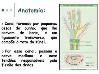 Anatomia:
o Canal formado por pequenos
ossos do punho, que lhe
servem de base, e um
ligamento transverso, que
compõe o teto do túnel.
o Por esse canal, passam o
nervo mediano e nove
tendões responsáveis pela
flexão dos dedos.
 