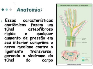 Anatomia:
 Essas características
anatômicas fazem um
túnel osteofibroso
rígido e qualquer
aumento de pressão em
seu interior comprime o
nervo mediano contra o
ligamento transverso,
gerando a síndrome do
túnel do carpo
 