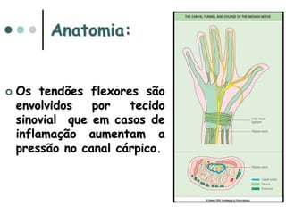 Anatomia:
 Os tendões flexores são
envolvidos por tecido
sinovial que em casos de
inflamação aumentam a
pressão no canal cárpico.
 