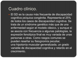 Cuadro clínico.
 El SD es la causa más frecuente de discapacidad
 cognitiva psíquica congénita. Representa el 25%
 de todos los casos de discapacidad cognitiva. Se
 trata de un síndrome genético más que de una
 enfermedad según el modelo clásico, y aunque sí
 se asocia con frecuencia a algunas patologías, la
 expresión fenotípica final es muy variada de unas
 personas a otras. Como rasgos comunes se
 pueden reseñar su fisiognomía peculiar,
 una hipotonía muscular generalizada, un grado
 variable de discapacidad cognitiva y retardo en el
 crecimiento.
 