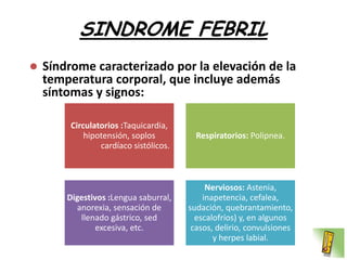 SINDROME FEBRIL
   Síndrome caracterizado por la elevación de la
    temperatura corporal, que incluye además
    síntomas y signos:

         Circulatorios :Taquicardia,
             hipotensión, soplos          Respiratorios: Polipnea.
                 cardíaco sistólicos.



                                             Nerviosos: Astenia,
        Digestivos :Lengua saburral,        inapetencia, cefalea,
          anorexia, sensación de        sudación, quebrantamiento,
           llenado gástrico, sed          escalofríos) y, en algunos
               excesiva, etc.            casos, delirio, convulsiones
                                               y herpes labial.
 