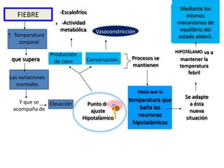 Mediante los
                     -Escalofríos
   FIEBRE                                                                 mismos
                     -Actividad                                        mecanismos de
                     metabólica      Vasoconstricción                   equilibrio del
 Temperatura                                                           estado afebril.
   corporal
                                                                       HIPOTÁLAMO va a
                  Producción
que supera                        Conservación     Procesos se          mantener la
                   de calor
                                                   mantienen            temperatura
                                                                           febril
Las variaciones
   normales
                                                        Hasta que la
                                                                          Se adapte
   Y que se                                       temperatura que
             Elevación           Punto de                                   a ésta
 acompaña de                                           baña las
                                  ajuste                                    nueva
                               Hipotalàmico
                                                      neuronas            situación
                                                    hipotalàmicas
 
