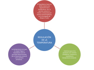 El hipotálamo tiene un
                                doble sistema de
                                regulación de la
                              temperatura. Así, la
                               porción anterior o
                            rostral, compuesta por
                           centros parasimpáticos,
                               es la encargada de
                                 disipar el calor




                            REGULACIÓN
                               DE LA
                           TEMPERATURA

La temperatura con que
    la sangre llega al                                 mientras que en la
   hipotálamo será el                                 posterior con centros
principal determinante                               simpáticos, conserva y
de la respuesta corporal                                  mantiene la
      a los cambios                                  temperatura corporal.
       climáticos.
 
