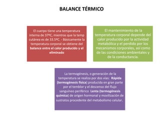 BALANCE TÉRMICO


   El cuerpo tiene una temperatura                 El mantenimiento de la
interna de 37ºC, mientras que la temp       temperatura corporal depende del
cutánea es de 33.5ºC. - Básicamente la        calor producido por la actividad
 temperatura corporal se obtiene del          metabólica y el perdido por los
 balance entre el calor producido y el       mecanismos corporales, así como
               eliminado                     de las condiciones ambientales y
                                                     de la conductancia.



                        La termogénesis, o generación de la
                    temperatura se realiza por dos vías: Rápida
                   (termogénesis física) producida en gran parte
                       por el temblor y el descenso del flujo
                     sanguíneo periférico Lenta (termogénesis
                  química) de origen hormonal y movilización de
                  sustratos procedente del metabolismo celular.
 