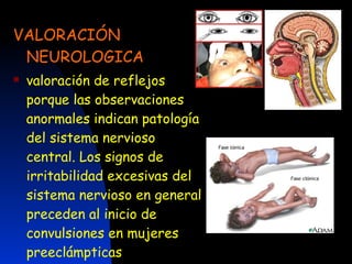 VALORACIÓN NEUROLOGICA valoración de reflejos porque las observaciones anormales indican patología del sistema nervioso central. Los signos de irritabilidad excesivas del sistema nervioso en general preceden al inicio de convulsiones en mujeres preeclámpticas   