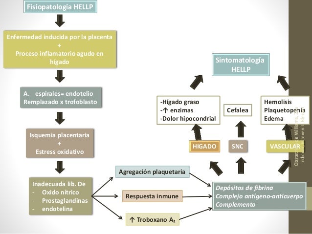 Consecuencias Del Síndrome De Hellp Después Del Parto es.slideshare.net
