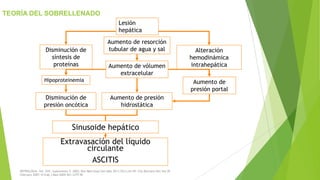 TEORÍA DEL SOBRELLENADO
Lesión
hepática
Disminución de
síntesis de
proteínas

Aumento de resorción
tubular de agua y sal

Aumento de vólumen
extracelular

Hipoproteinemia

Disminución de
presión oncótica

Alteración
hemodinámica
intrahepática
Aumento de
presión portal

Aumento de presión
hidrostática

Sinusoide hepático
Extravasación del líquido
circulante
ASCITIS
NEFROLOGÍA. Vol. XXII. Suplemento 5. 2002; Rev Med Hosp Gen Méx 2011;74(1):42-49; Clin Biochem Rev Vol 28
February 2007; N Engl J Med 2009;361:1279-90

 