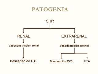 Shr Rv Síndrome hepatorrenal | PPT