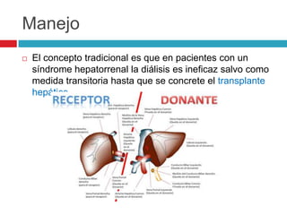 Manejo
 El concepto tradicional es que en pacientes con un
síndrome hepatorrenal la diálisis es ineficaz salvo como
medida transitoria hasta que se concrete el transplante
hepático.
 