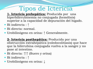 Tipos de Ictericia
  1- Ictericia prehepática: Producida por una
  hiperbilirrubinemia no conjugada (hemólisis)
  superior a la capacidad de depuración del hígado.
 Bi indirecta : ↑
 Bi directa: normal.
 Urobilinógeno en orina: ↑ Generalmente.

  2- Ictericia posthepática: Producida por una
  obstrucción extrahepática (coledocolitiasis) que hace
  que la bilirrubina conjugada vuelva a la sangre y no
  pase al intestino.
 Bi directa: ↑↑↑ (Suero y orina)
 Bi indirecta : ↑
 Urobilinógeno en orina: ↓
 