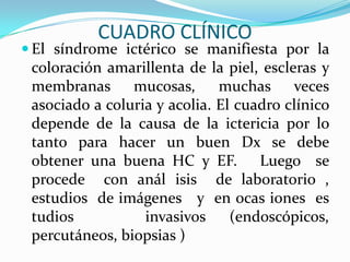 CUADRO CLÍNICO
 El síndrome ictérico se manifiesta por la
 coloración amarillenta de la piel, escleras y
 membranas mucosas,           muchas veces
 asociado a coluria y acolia. El cuadro clínico
 depende de la causa de la ictericia por lo
 tanto para hacer un buen Dx se debe
 obtener una buena HC y EF. Luego se
 procede con anál isis de laboratorio ,
 estudios de imágenes y en ocas iones es
 tudios           invasivos     (endoscópicos,
 percutáneos, biopsias )
 