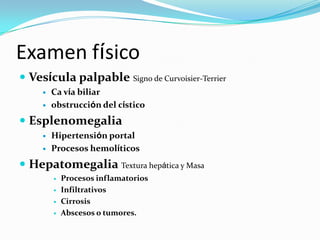 Examen físico
 Vesícula palpable Signo de Curvoisier-Terrier
        Ca vía biliar
        obstrucción del cístico
 Esplenomegalia
        Hipertensión portal
        Procesos hemolíticos
 Hepatomegalia Textura hepática y Masa
            Procesos inflamatorios
            Infiltrativos
            Cirrosis
            Abscesos o tumores.
 