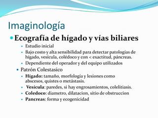 Imaginología
 Ecografía de hígado y vías biliares
      Estudio inicial
      Bajo costo y alta sensibilidad para detectar patologías de
       hígado, vesícula, colédoco y con < exactitud, páncreas.
      Dependiente del operador y del equipo utilizados
  Patrón Colestasico
    Hígado: tamaño, morfología y lesiones como
     abscesos, quistes o metástasis.
    Vesícula: paredes, si hay engrosamientos, colelitiasis.
    Coledoco: diametro, dilatacion, sitio de obstruccion
    Pancreas: forma y ecogenicidad
 