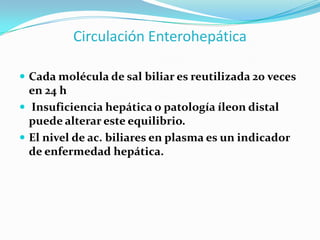 Circulación Enterohepática

 Cada molécula de sal biliar es reutilizada 20 veces
  en 24 h
 Insuficiencia hepática o patología íleon distal
  puede alterar este equilibrio.
 El nivel de ac. biliares en plasma es un indicador
  de enfermedad hepática.
 