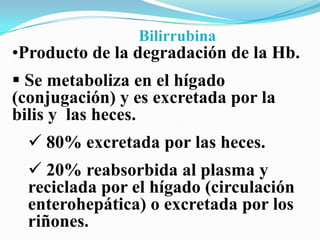Bilirrubina
•Producto de la degradación de la Hb.
 Se metaboliza en el hígado
(conjugación) y es excretada por la
bilis y las heces.
   80% excretada por las heces.
   20% reabsorbida al plasma y
  reciclada por el hígado (circulación
  enterohepática) o excretada por los
  riñones.
 