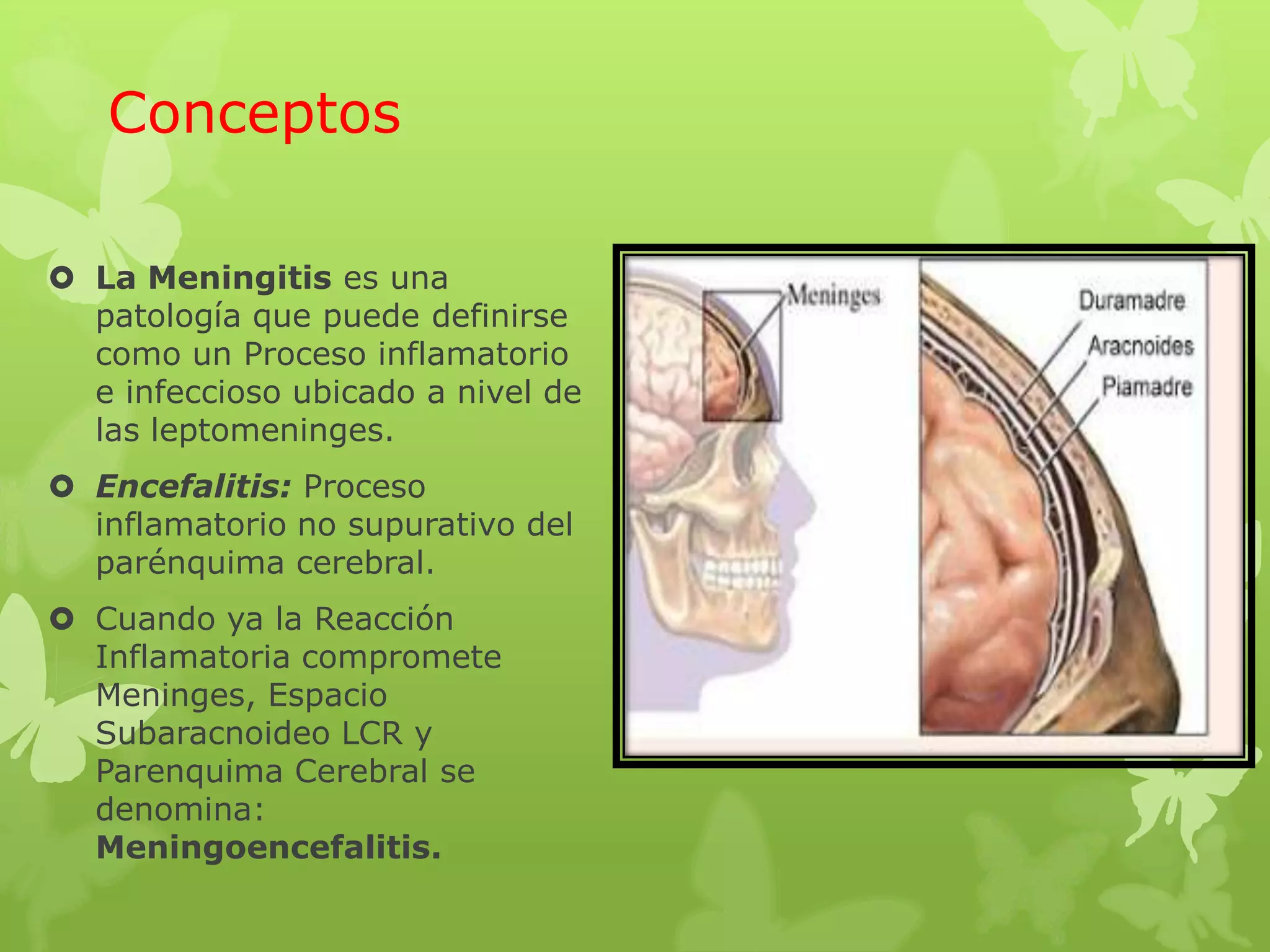 Síndrome meningoencefalico | PPTX