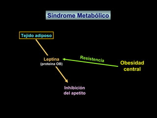 Síndrome Metabólico Obesidad central Tejido adiposo Leptina (proteína OB) Inhibición del apetito Resistencia 